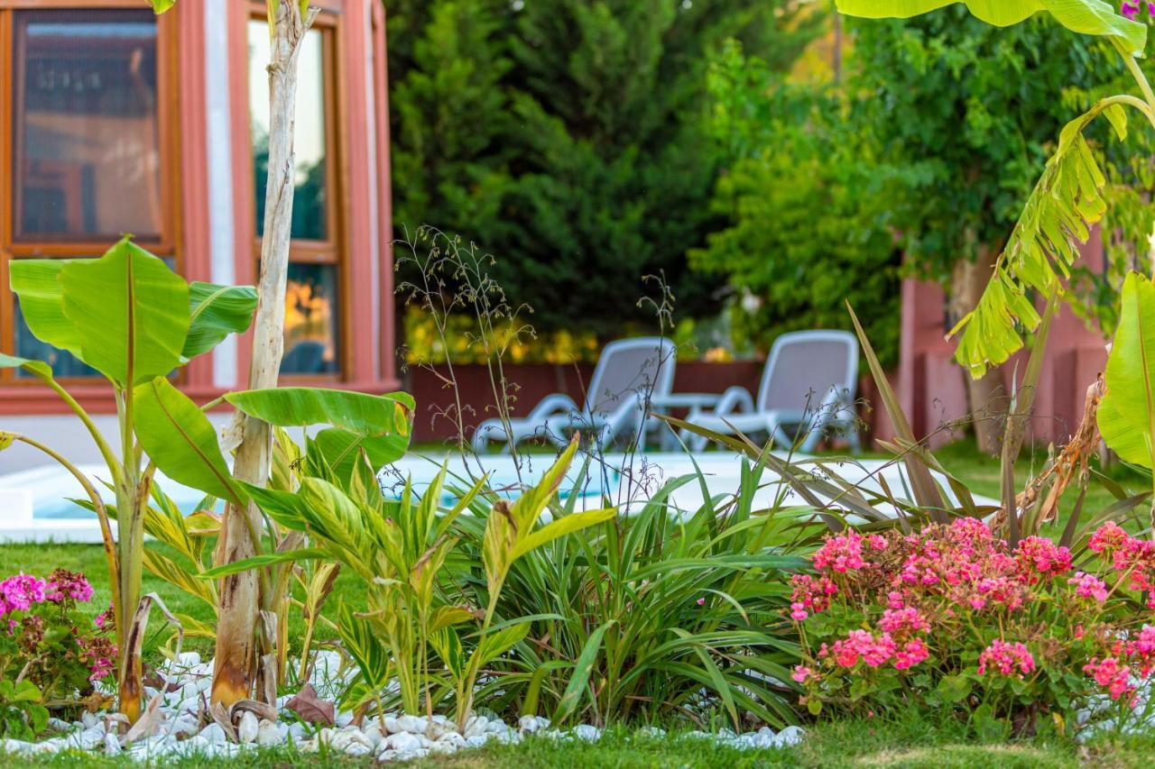 Vista Villa เบเลก ภายนอก รูปภาพ
